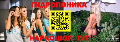 jwh Кингисепп